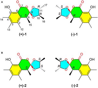 (±)-Peniorthoesters A and B, Two Pairs of Novel Spiro-Orthoester en-antiomers With an Unusual 1,4,6-Trioxaspi-ro[4.5]decane-7-One Unit From Penicillium minioluteum